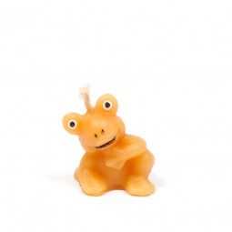 Kleiner Frosch mit runden Augen