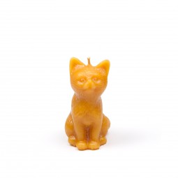 Große Katze
